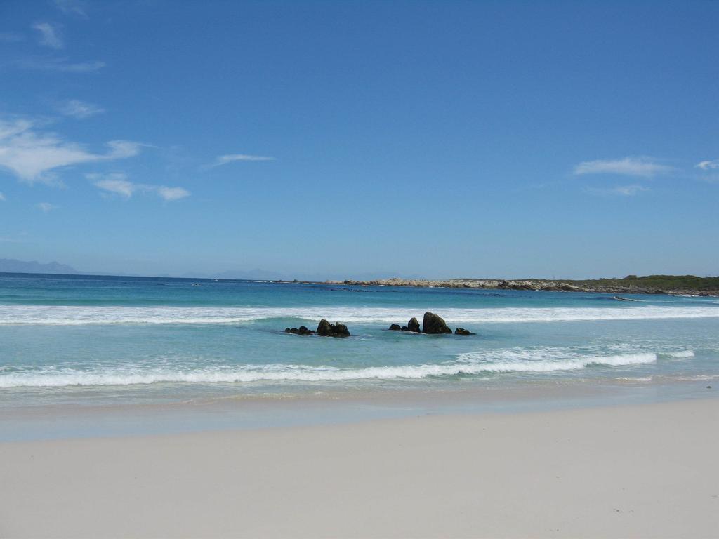 Van Den Berg'S Guesthouse Betty's Bay Eksteriør billede